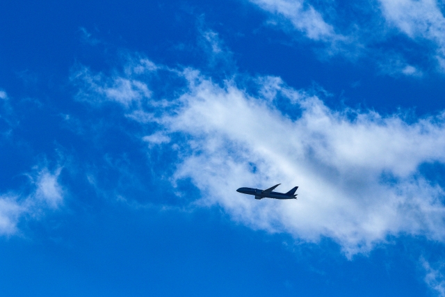 飛行機